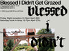 GALLERY: 'blessed i didn't get grazed' photobook by Reginald Levy