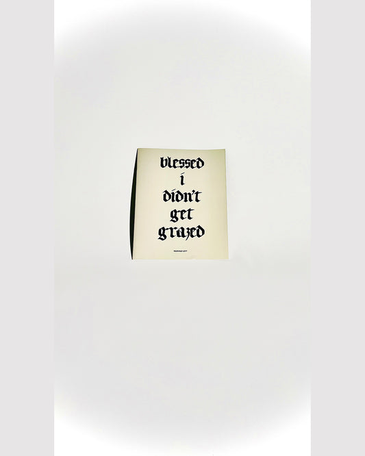 B.I.D.G.G Photobook Zine by Reginald Levy